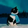 douu_ae