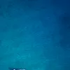 username13.06
