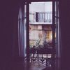 majed.525