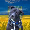 tucker.pit