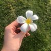 hano_19910