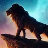 lion567899