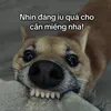 uocdauvisauc