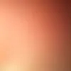 flower_rose4
