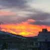 aesthetics_of_nature2