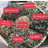 hoangbo181