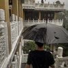 weng_cang_0325