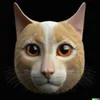 dz_anatol