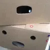 ekamt08