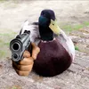 lecanardelapocalypse