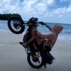 panglima_puland0