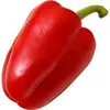 greenpepperkirai