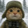 haifischkatze