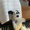 chachachanochacha