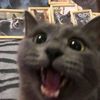 n0tcandle