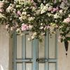 alanoud.s31