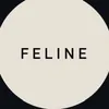feline.maison