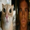 zac_7373