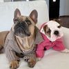 louie.and.penny