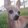 cocoaguilaroficial