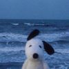 mike_1056