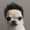 wabbildydabbildy