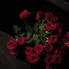 hadeda.1102
