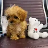 its._sofy_