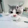bao_suy