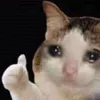 eevysucks