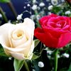 user6706013871002