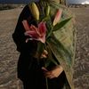 izhra17