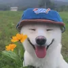 foxenept