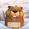 funnystuckbeaver4u