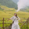 dicungvanh