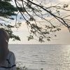 haalimauu