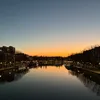 fiorrrno7