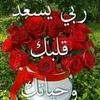user69512267