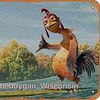 buckoruski