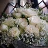 alsalam744