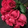 jenna_aa8