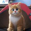 asna_mahasan