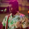 aaru_7578