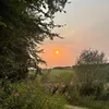 sophie.eloise8
