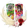 march910_koala610