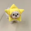springofapple_1002