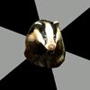 backstage_badger
