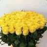 daykmstafa_..._1
