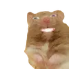 the_karma_got_you_back