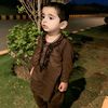 syedadeebrizvi